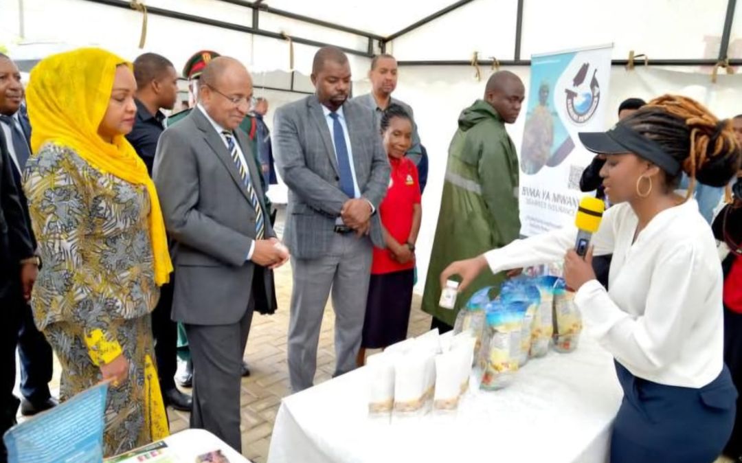 Presenting Sea Moss products to the President of Zanzibar during Seaweed Day July 2023