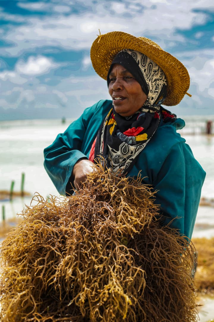 Fresh Wild Harvest