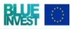 Blue Invest (EU)
